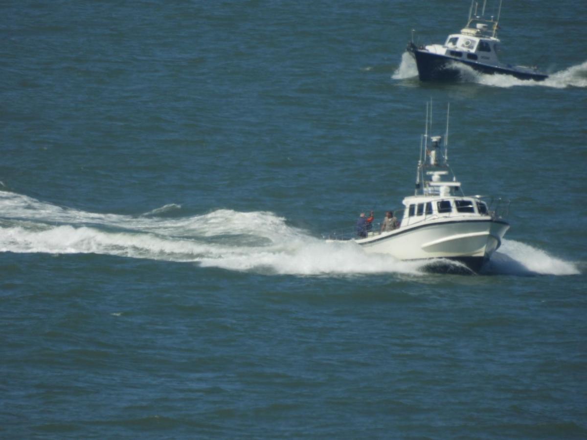 Seacityview Oostende Eksteriør billede
